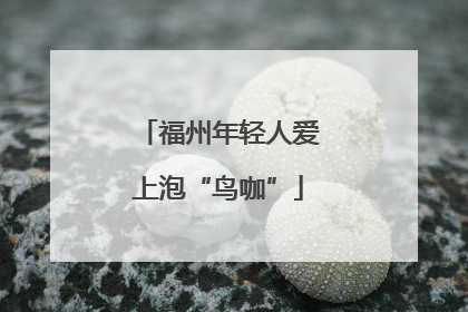 福州年轻人爱上泡“鸟咖”